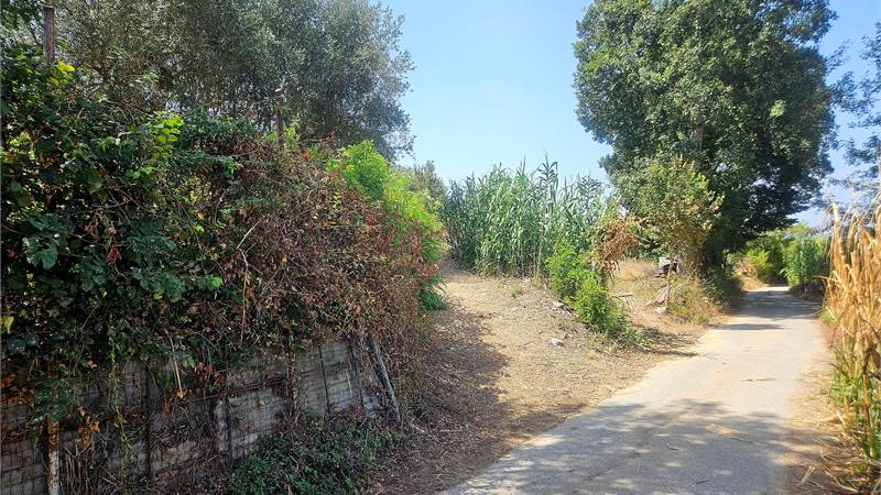 Terreno agricolo in vendita –  località Vena Superiore di Vibo Valentia